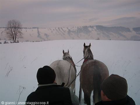 Rest for the horses.