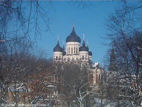 The Orthodox Cathedral