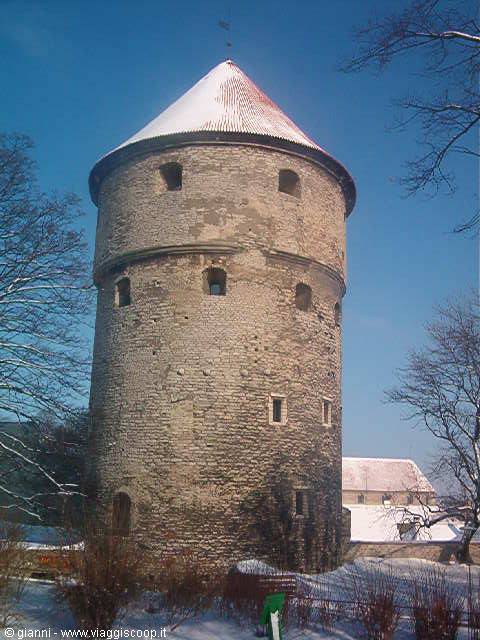 Citadel Tower