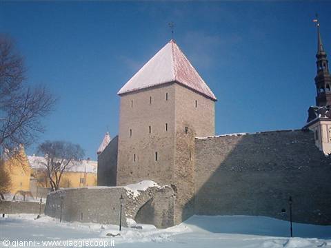 Citadel walls