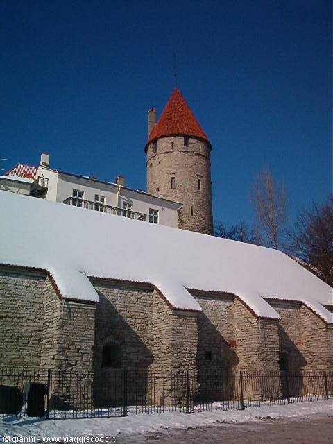 The Little Museum