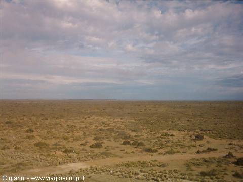 The steppe in the Valdes peninsula