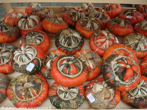 Ornamental striped orange squashes displayed on wooden crates at a market