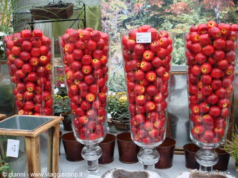 Tall clear glass vases filled with red apples at a market