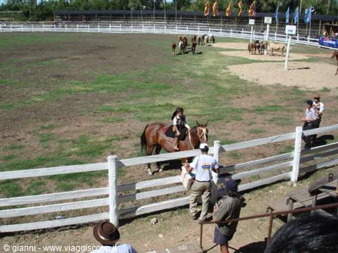 Little Gaucho who doesn't give up his ice cream; note that he rides despite his left arm in a cast