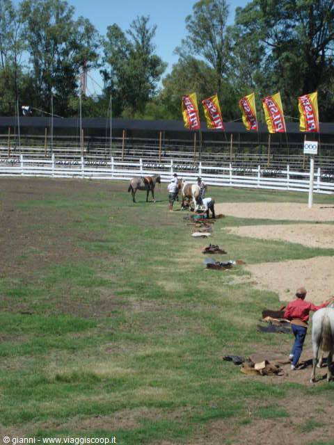 Speed trial in saddling the horse.