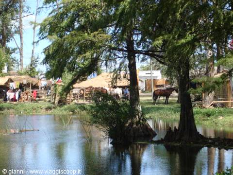 Detail of the 'Laguna de las lavanderas'.