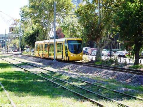 The new little train at Puerto Madero.