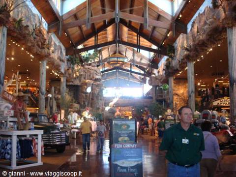 Interior of the store