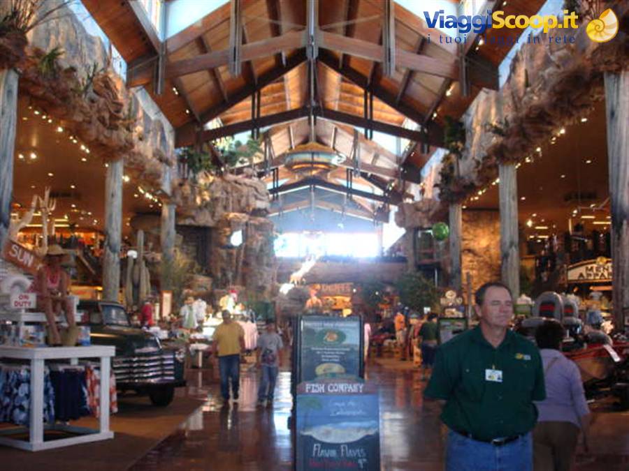 Interior of the store