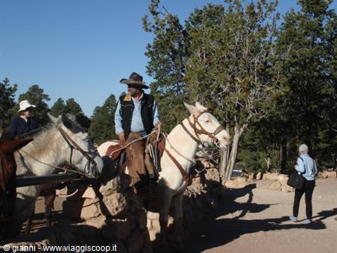 Grand Canyon: at 07:00 the descent towards the valley floor by mule begins.