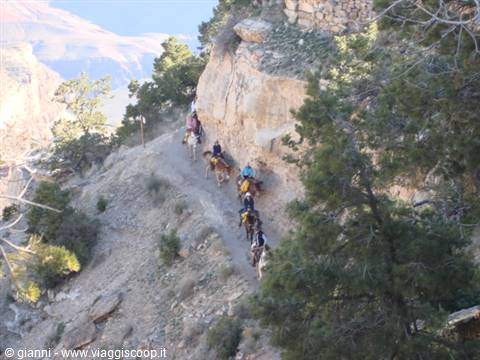 ...the descent.