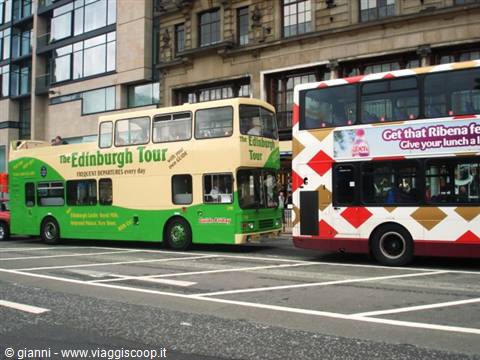 Edinburgh Tour double-decker buses on a city street in Edinburgh