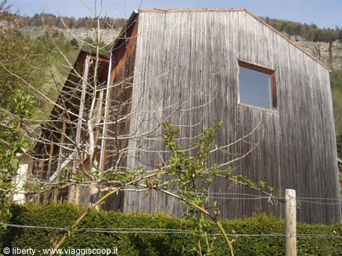 Weathered wooden house behind a hedge, forested mountains in the background