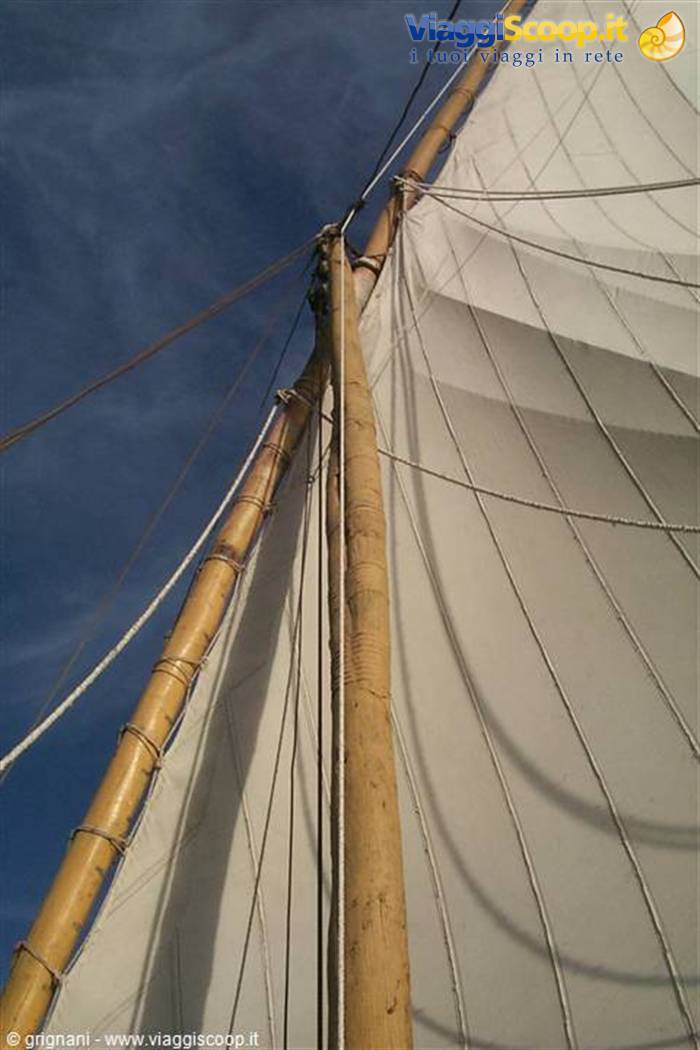 Royal Cleopatra - the sail