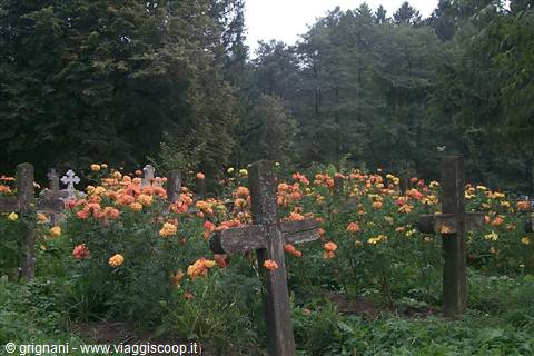 DRAGOMIRNA - the cemetery