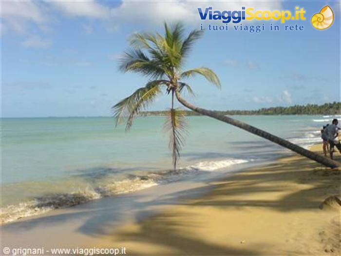 Samana Beach