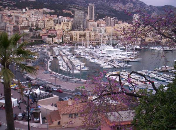 Montecarlo, the Port