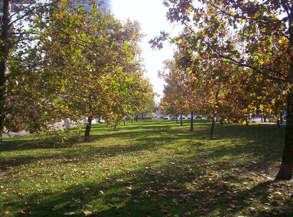 Park