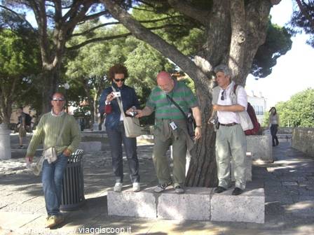 Four tourists under a large pine, one taking photos from stone blocks