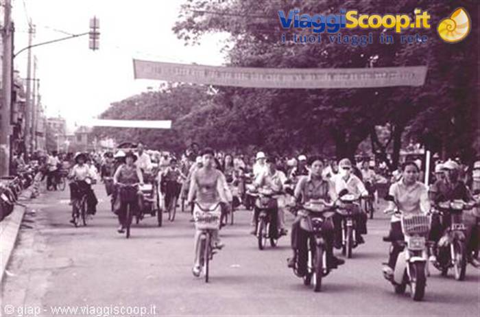 Cyclists and mopeds ride down a tree-lined avenue under banners