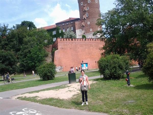 Krakow Castle seen from the Vistula
