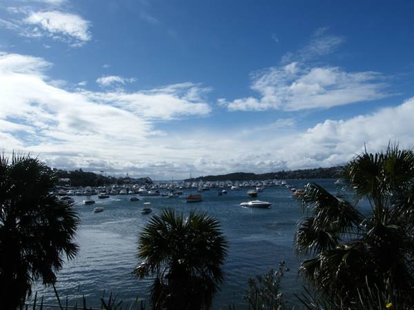 Rose Bay
