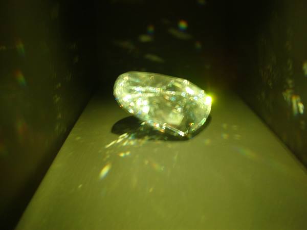 Diamond Natural History Museum