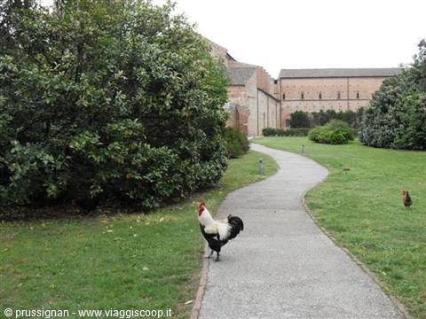 Black and white rooster on a garden path, old brick complex in the background