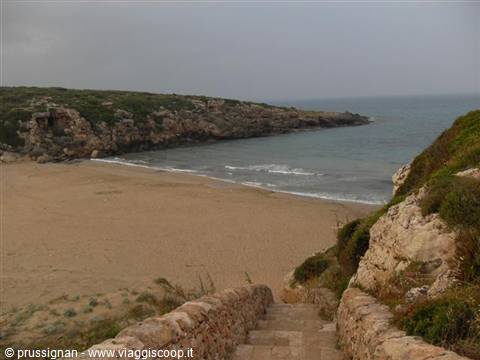 Calamosca