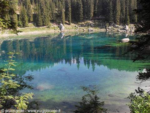 Lake Carezza, clear turquoise water among spruce trees and dolomite boulders