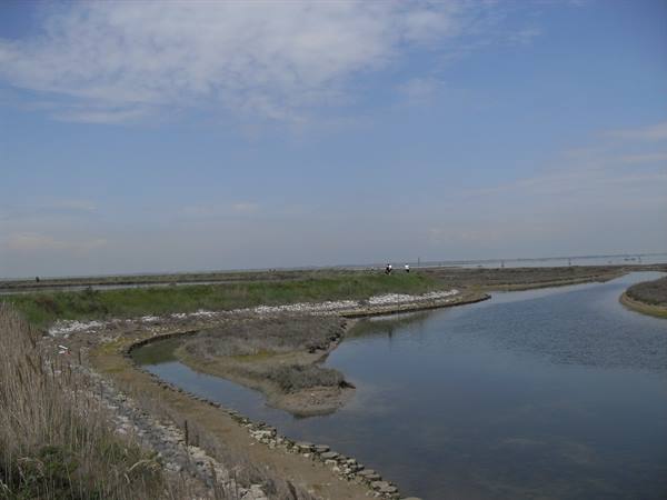 Water channels between grassy stone embankments, cyclists riding on the causeway