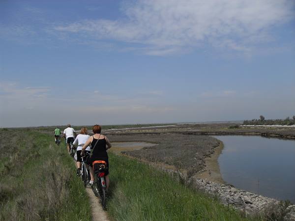 Cyclists riding on grassy embankment beside lagoon and salt flats