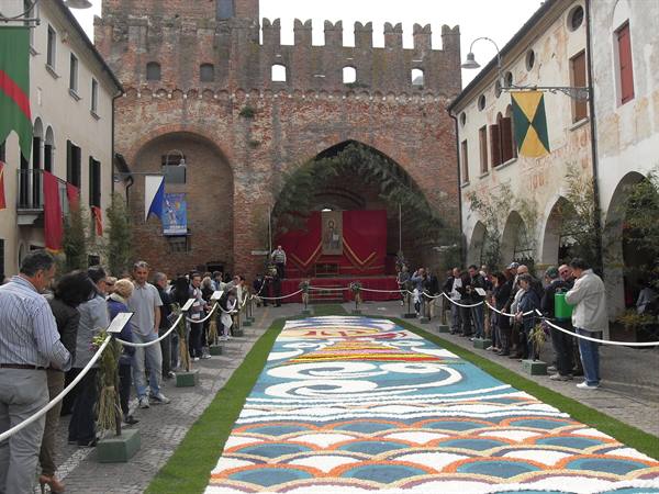 Flower petal carpet before the medieval castle walls, crowds in Montagnana