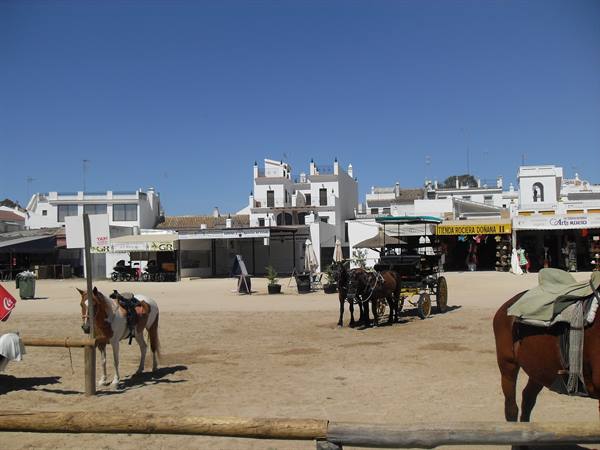 Horses and carriage on sand in front of El Rocío white houses