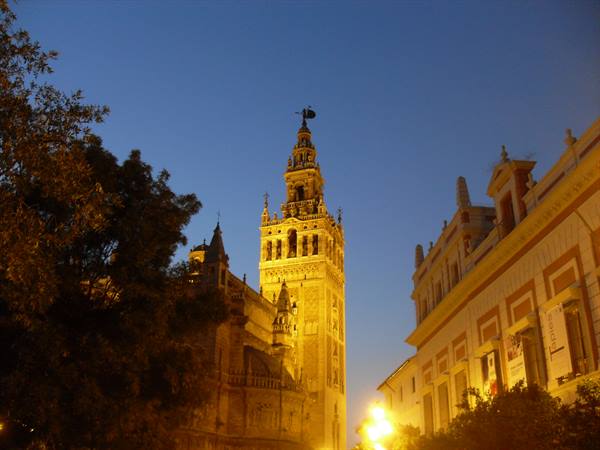 The illuminated Giralda tower at dusk among trees and Seville buildings