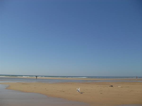 the nothing in Manta Rota