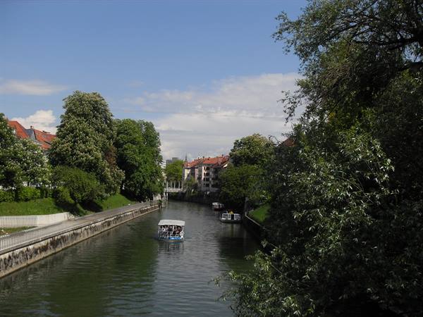 Tourist boat cruising the Ljubljanica river among trees and houses in Ljubljana