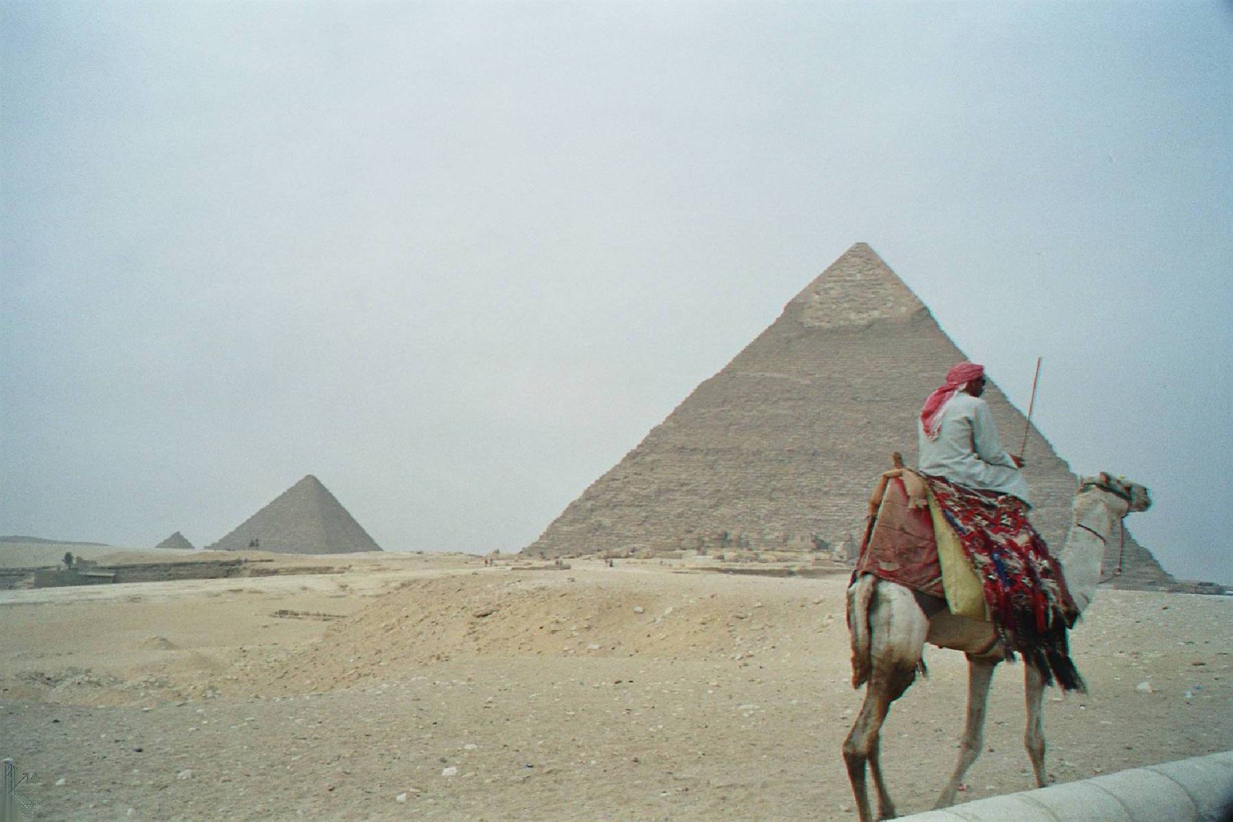 Rider in red turban on a camel before the Giza pyramids