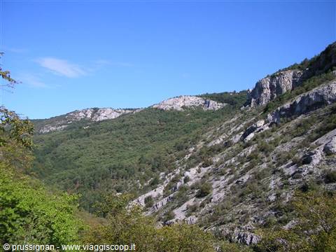 Limestone cliffs and green woods under a blue sky, Val Rosandra