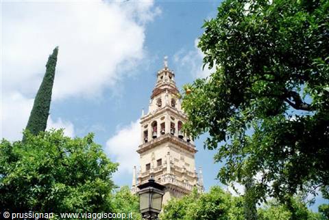 Tower
