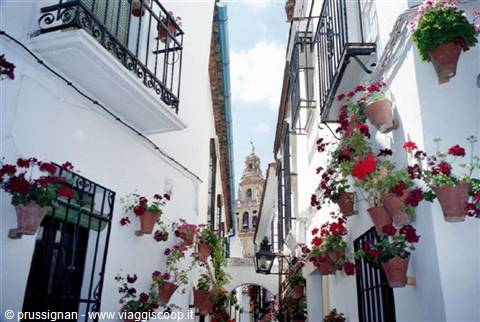 Judería-Jewish quarter