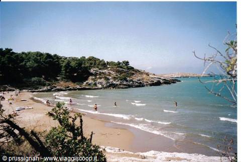 Campsite beach