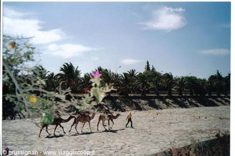 Barranco de Maspalomas