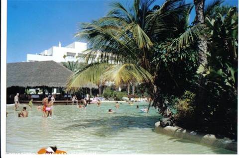 Swimmers in the resort pool among palm trees and thatched bar