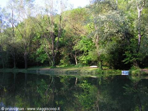 sport fishing pond