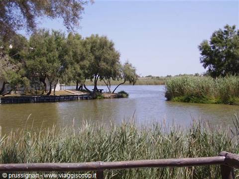 Stilt house among tamarisks and reeds on a green lagoon