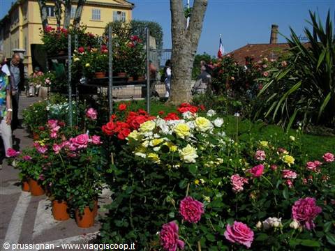 rose festival in Grasse