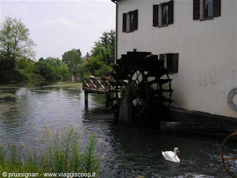 Old wooden waterwheel on a river, white swan swims near the mill