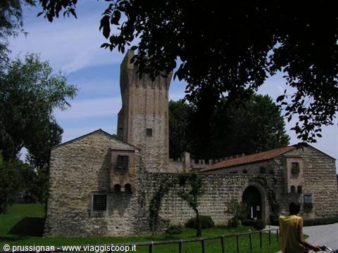 Stone castle with tall crenellated tower and walls among green trees
